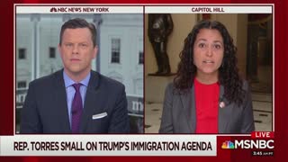 Dem congresswoman dodges question about border crisis