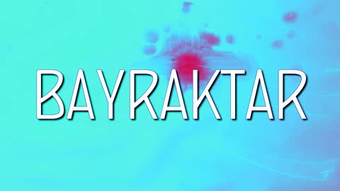 Taras Borovok & Lisa Schettner – BAYRAKTAR MASHUP EDITION (Official Remix) [Official Video]