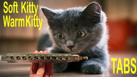 How to Play Soft Kitty Warm Kitty on a Chromatic Harmonica