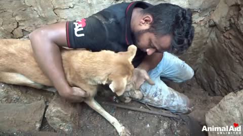 Mother dog helps rescuers dig for her buried puppies.