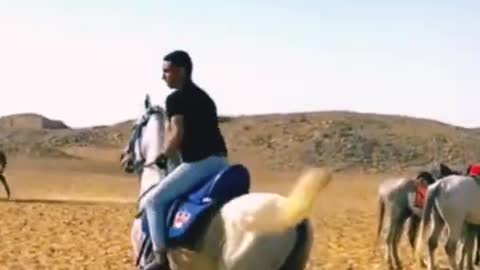 فرس تمشي على الارجل الخلفيه Un cheval marchant sur les pattes arrière