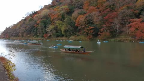 Red leaves Arashiyama Kyoto Japan #4