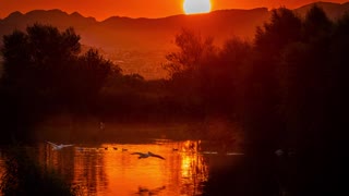 HENDERSON BIRD PRESERVE SUNRISE