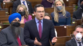 Pierre Poilievre: "I want to congratulate the finance minister on her flip-flop"
