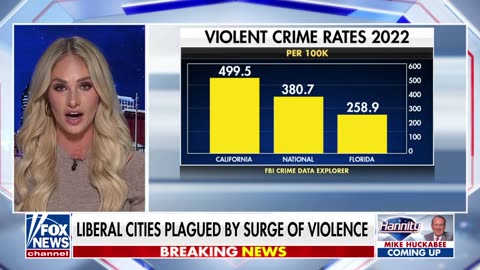 If you want to fix lawlessness, you start locking people up: Tomi Lahren