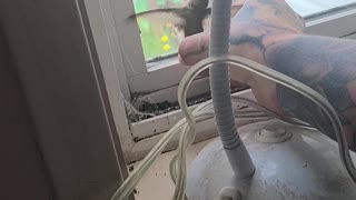 Alarmed Woman Rescues Hummingbird that Flies into Home