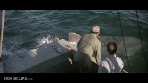 Jaws (1975) - You're Gonna Need a Bigger Boat Scene (410) Movieclips