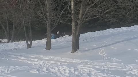 Home tobogganing