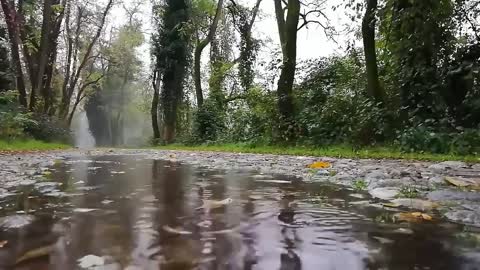 Best mind relief rain video/Meditation video/ awesome nature 2021