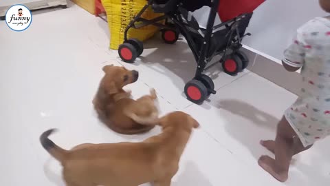 Cute baby with dogs 🐶 beautiful moments 😍