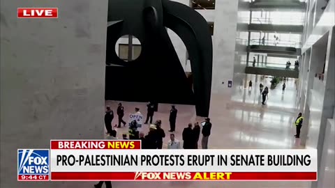 Fox Live Shot Catches Pro-Palestine Protester Hiding On Huge Sculpture In Senate Building