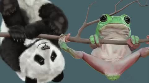 Pandamonium with Frog