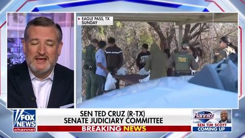 This bill is designed not to secure the border: Sen. Ted Cruz