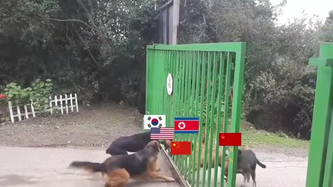 North Korean conflict summarized