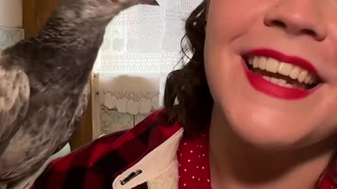Meet Hannah, she's adopted a pet pigeon. 🐦