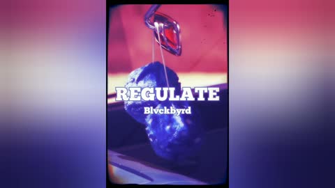 Blvckbyrd - Regulate