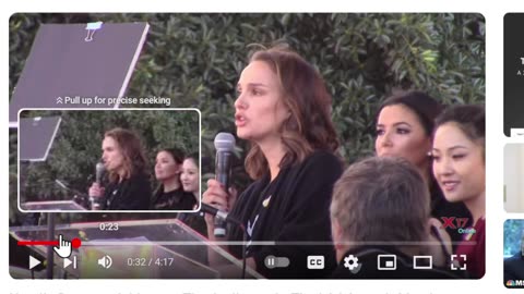 Sadly, Natalie Portman became a damaged crazy woman, RE: End-stage-Feminism)