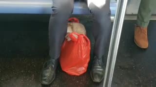 Guy eating eggs out of a bowl with toast on a subway train