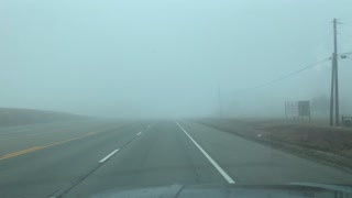 Foggy Morning Drive
