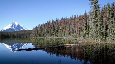 Mountain natural landscape