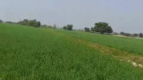 Pakistan village life video upload viral