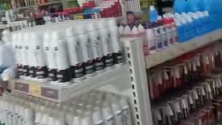 Monkey Makes a Mess in Brazilian Pharmacy