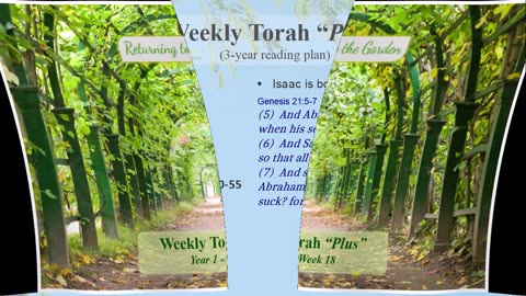 Weekly Torah "Plus" Highlights - Year 1, Week 18
