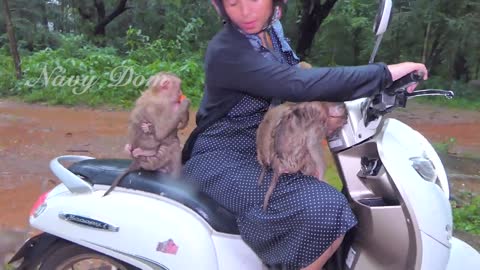 In evening! KT has to go home but Sovana&all babies sit on motorbike with her want to ride with her