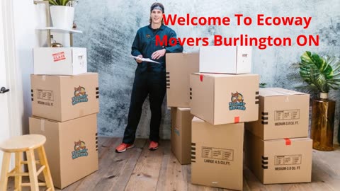 Ecoway Movers : Moving Company in Burlington, ON