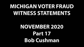 2020 Election - Bob Cushman, Michigan Eyewitness and Whistleblower (Full Interview)