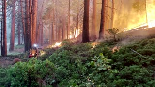 Firefighters backburn to contain Yosemite wildfire