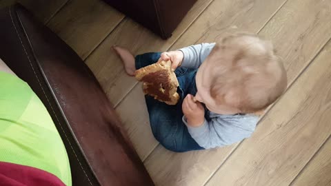 Baby thief stealing food from plate