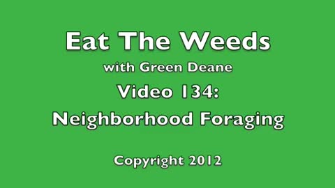 Eat The Weeds - Episode 134 - Neighborhood Foraging