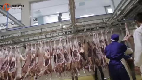 Incredible Modern Sheep Processing Factory Technology - Factory Automatic Process Millions Sheep