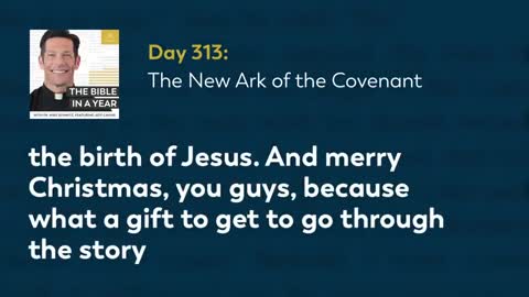 Day 313: The Ark of the New Covenant — The Bible in a Year (with Fr. Mike Schmitz)