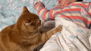 Kitty Massages Sleepy Child
