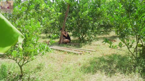 Build Bamboo Bridge For New House, Free Life, Oh My Leg Was Injured ! Off The Grid