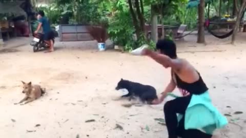 "Puppy vs. Water Hose: The Ultimate Showdown!"