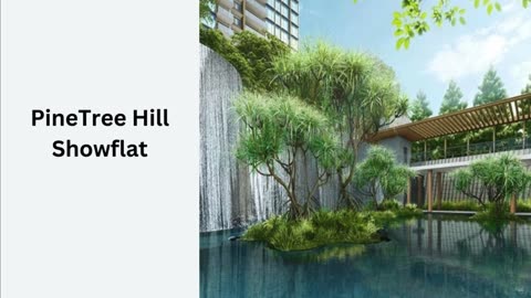 Adventure Luxury Residing Spaces at PineTree Hill Condo