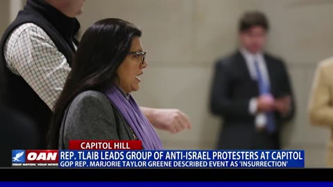 Rep. Tlaib Leads Group Of Anti-Israel Protesters At Capitol - MTG Described Event As 'Insurrection'