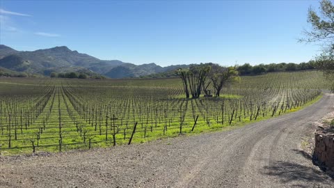 A Day to Remember - Perched High Above Napa Valley - Oakville Ranch Winery #cabernetsauvignon