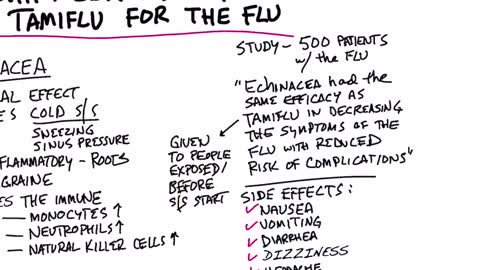 Echinacea is as Effective as Tamiflu for the Flu