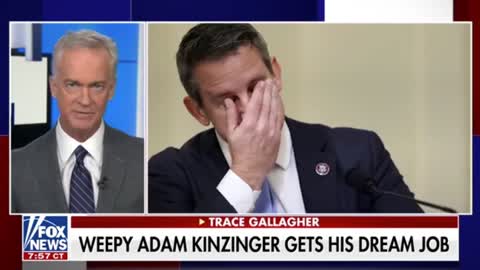 Trace Gallagher and Tucker Carlson reveal Adam Kinzinger's new job