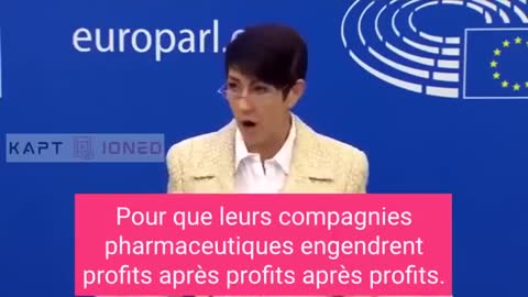 Parlement Européen : Conférence de presse avec Christine Anderson. Strasbourg/France