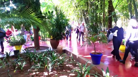 Majorelle Garden Marrakech