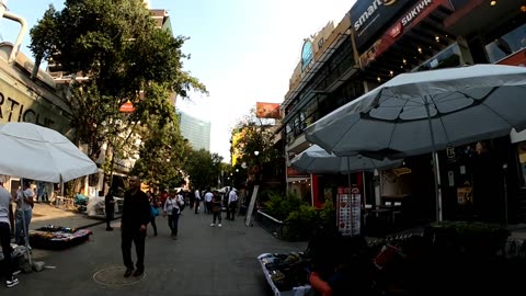 Mexico City's Zona Rosa (Short Version)
