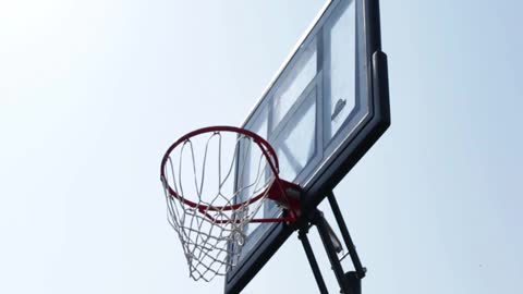 Basketball Net