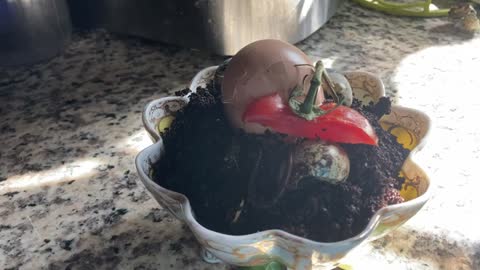 Earthworm Compost Sundae_Cut