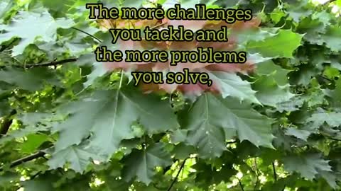 The More Challenges You Tackle- short quote status
