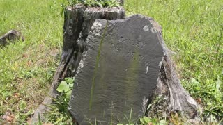 White Oak Flats Cemetery - H Oakley 1874